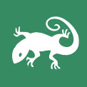 Lizard icon